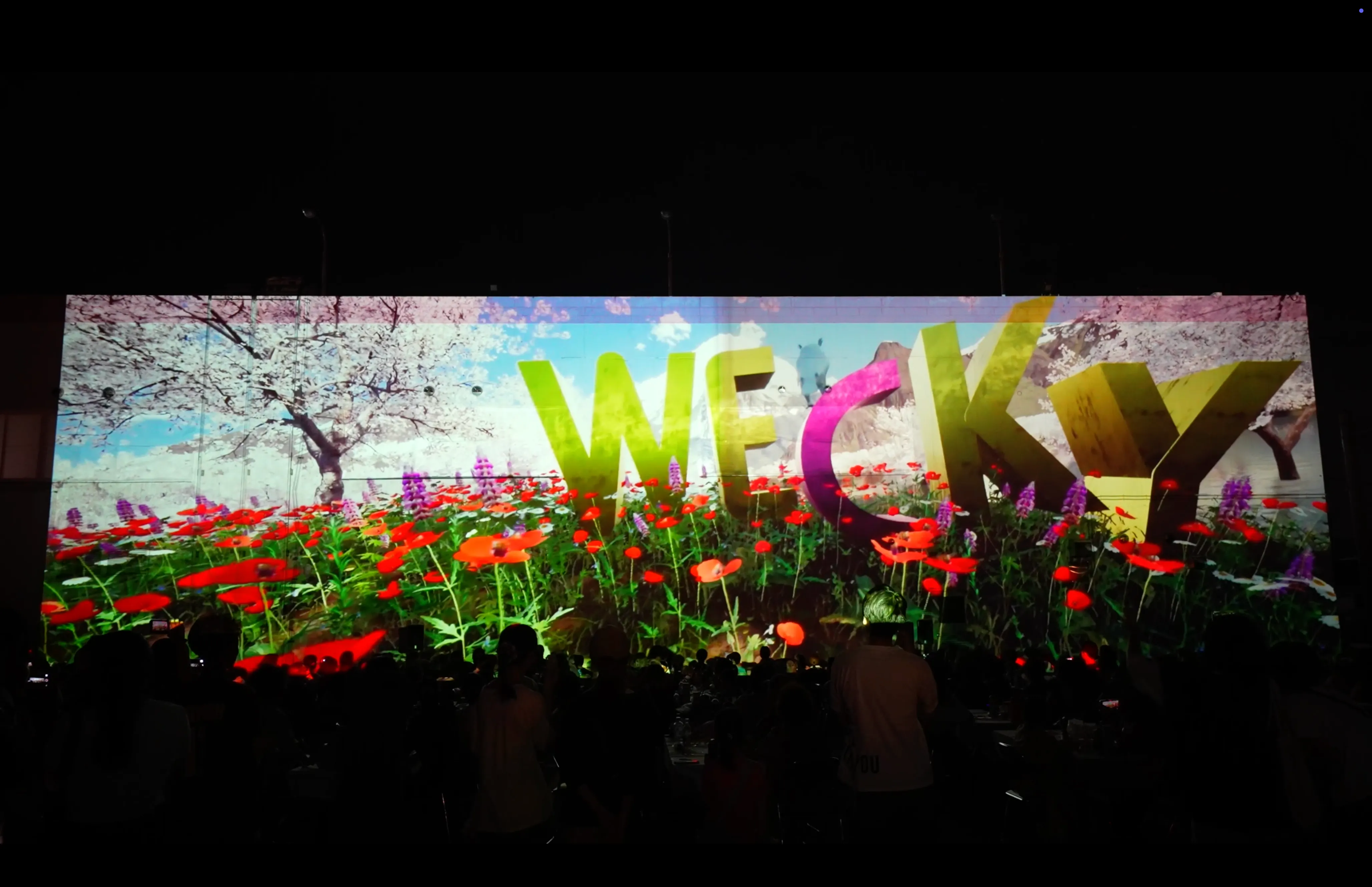 結婚式マッピング